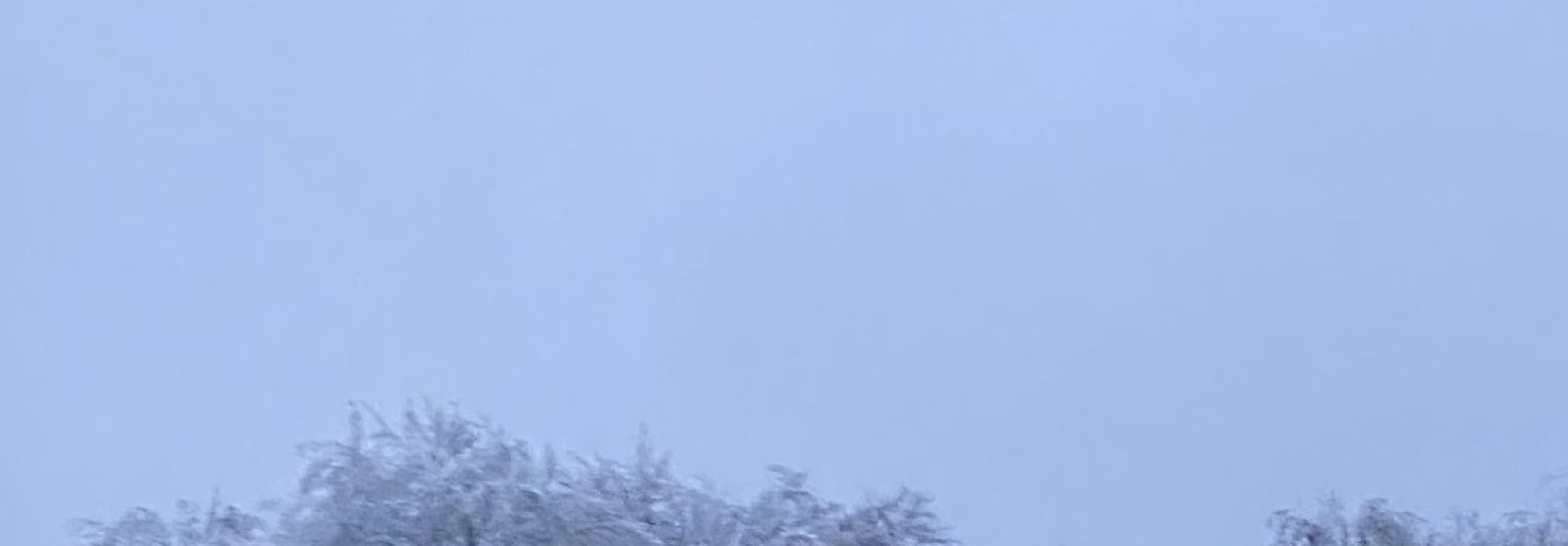 Schwäbischer Albverein | Ortsgruppe Mehrstetten